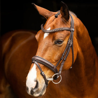 Lemieux Arika Dressage Bridle