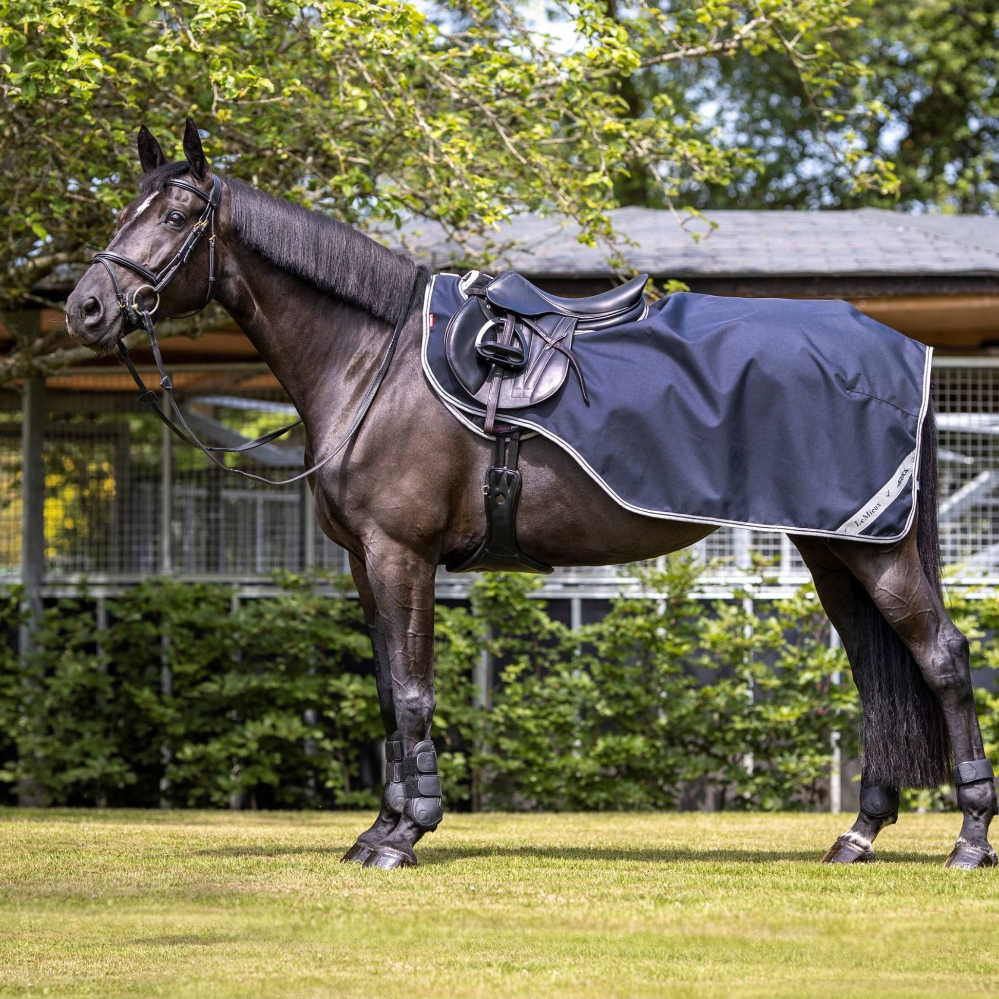 LeMieux Arika Exercise Sheet - EQ Saddlery