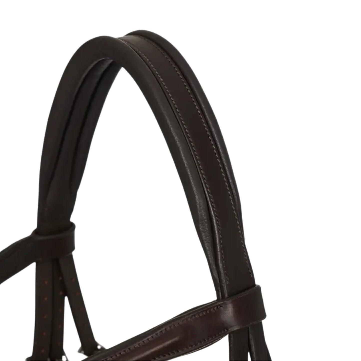 LeMieux Arika Flash Bridle