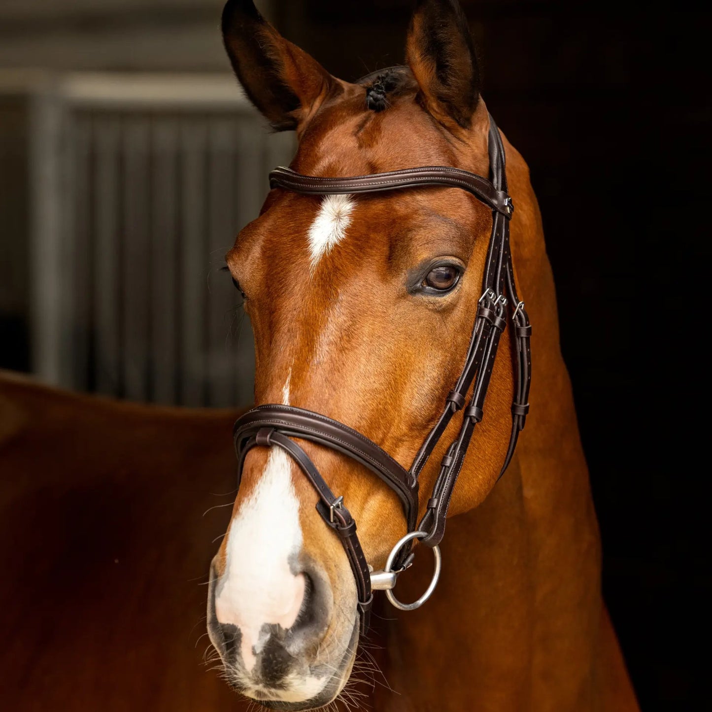 LeMieux Arika Flash Bridle