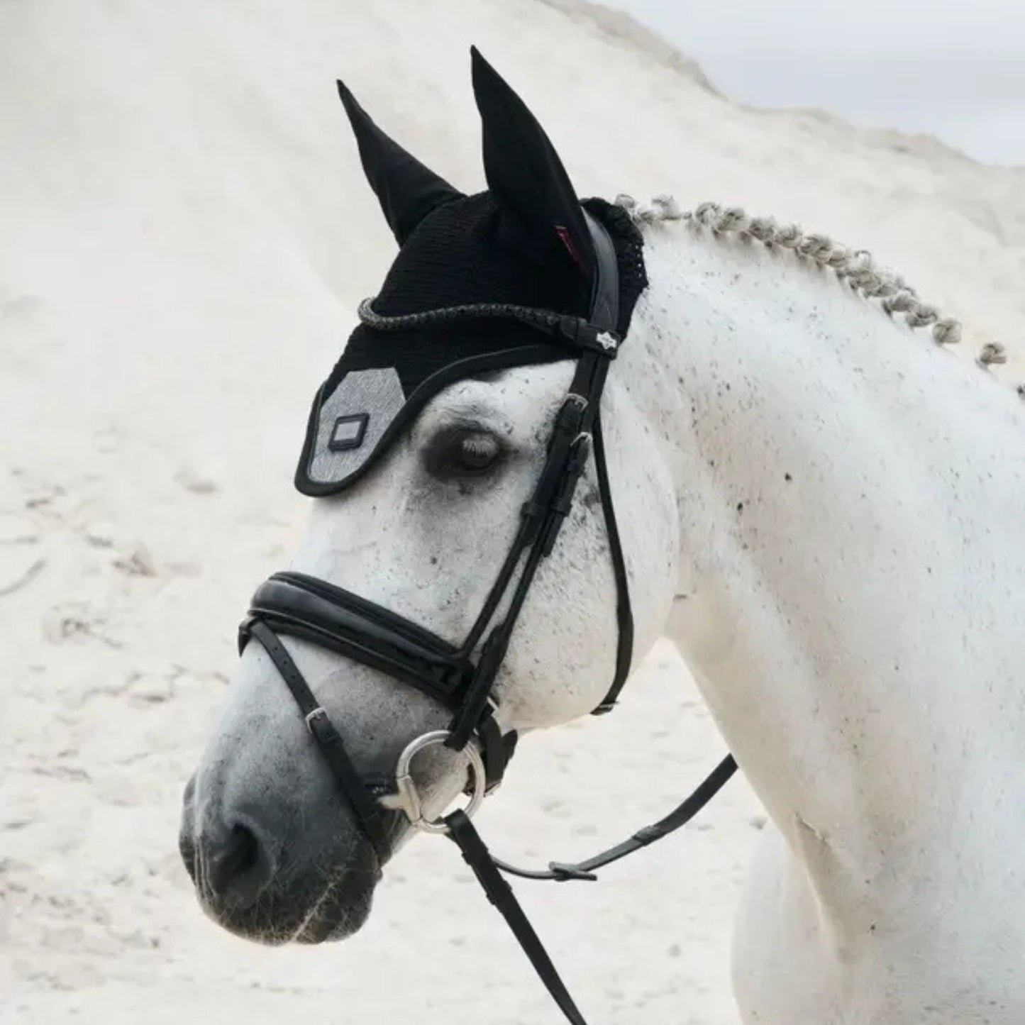 LeMieux Aspen Collection Fly Hood