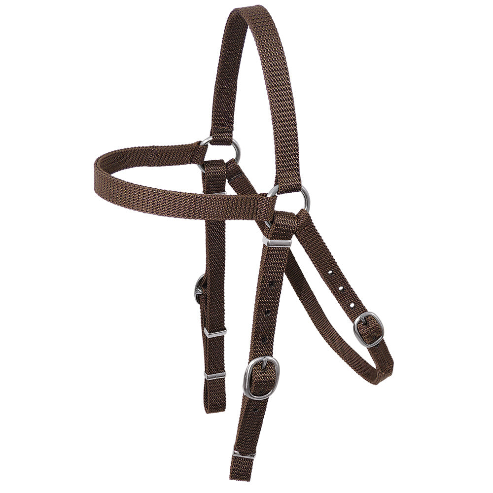 Toowoomba Saddlery Nyla-Web Barcoo Bridle Head