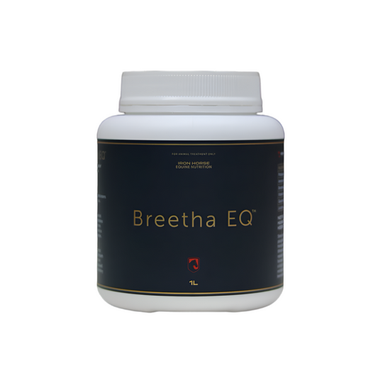 Iron Horse Breetha EQ - EQ Saddlery