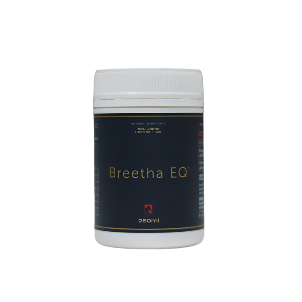 Iron Horse Breetha EQ - EQ Saddlery