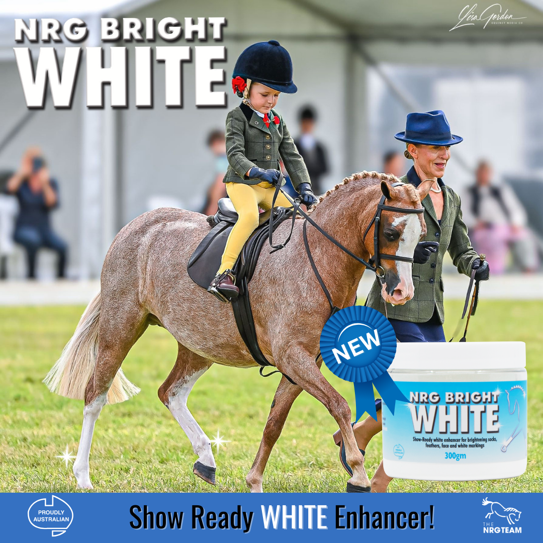 NRG Bright White - EQ Saddlery