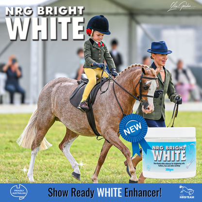 NRG Bright White - EQ Saddlery