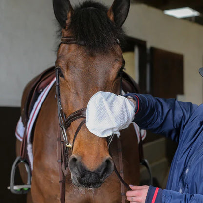 CDM Tack Cleaning Mitt