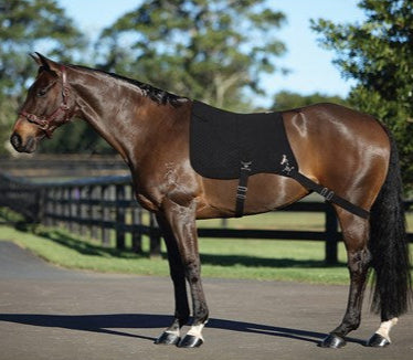 Showmaster Core Master Pad - EQ Saddlery
