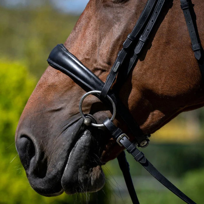Lumiere Mikayla Convertible Bridle - EQ Saddlery