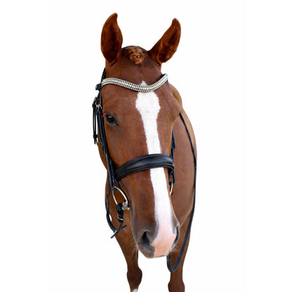 Saddle Co Cosmo Cavesson Bridle w Reins