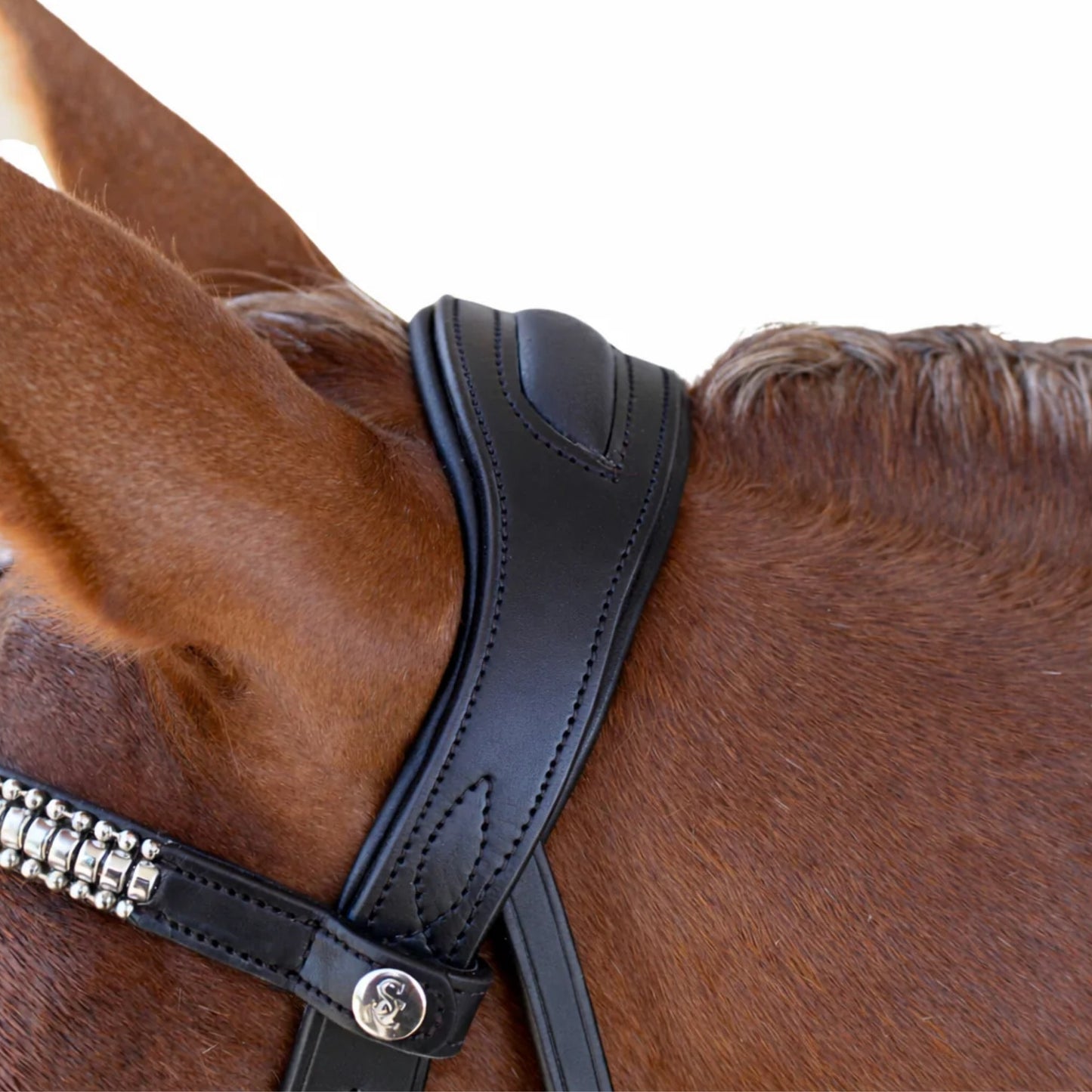 Saddle Co Cosmo Cavesson Bridle w Reins