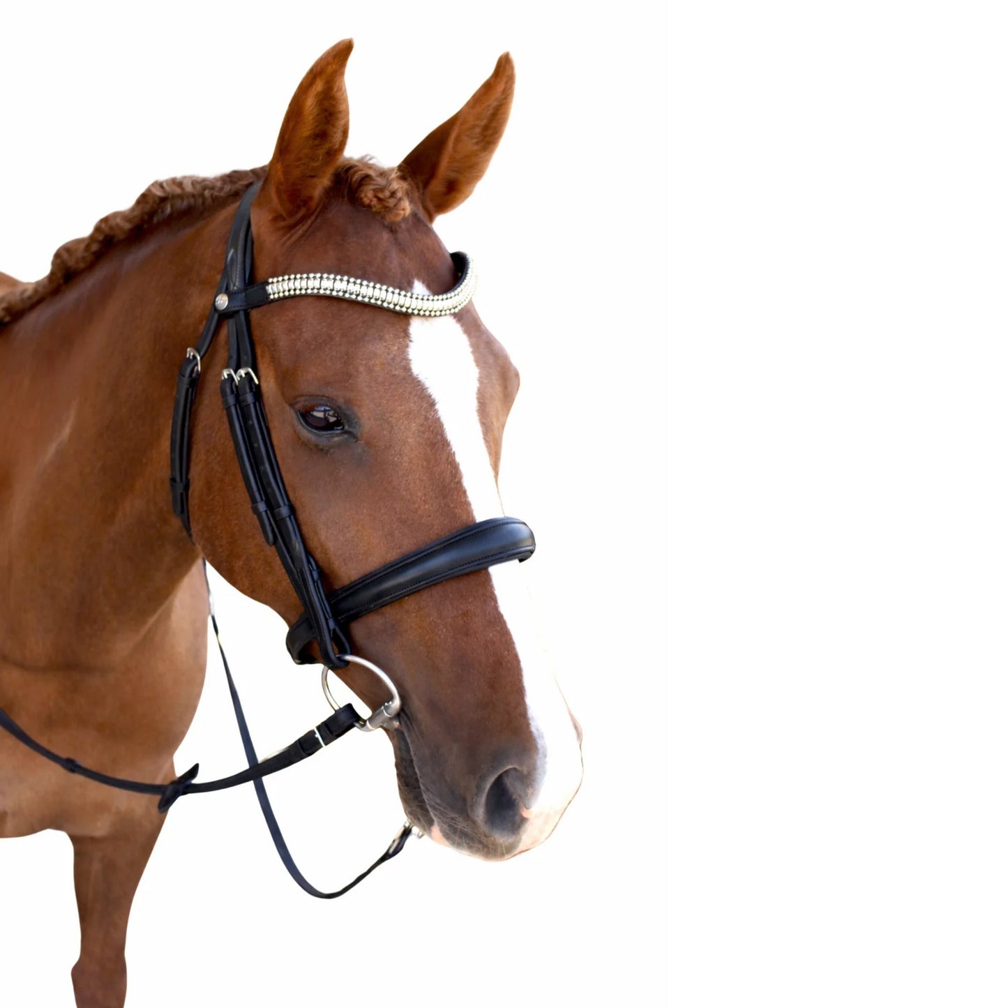 Saddle Co Cosmo Cavesson Bridle w Reins