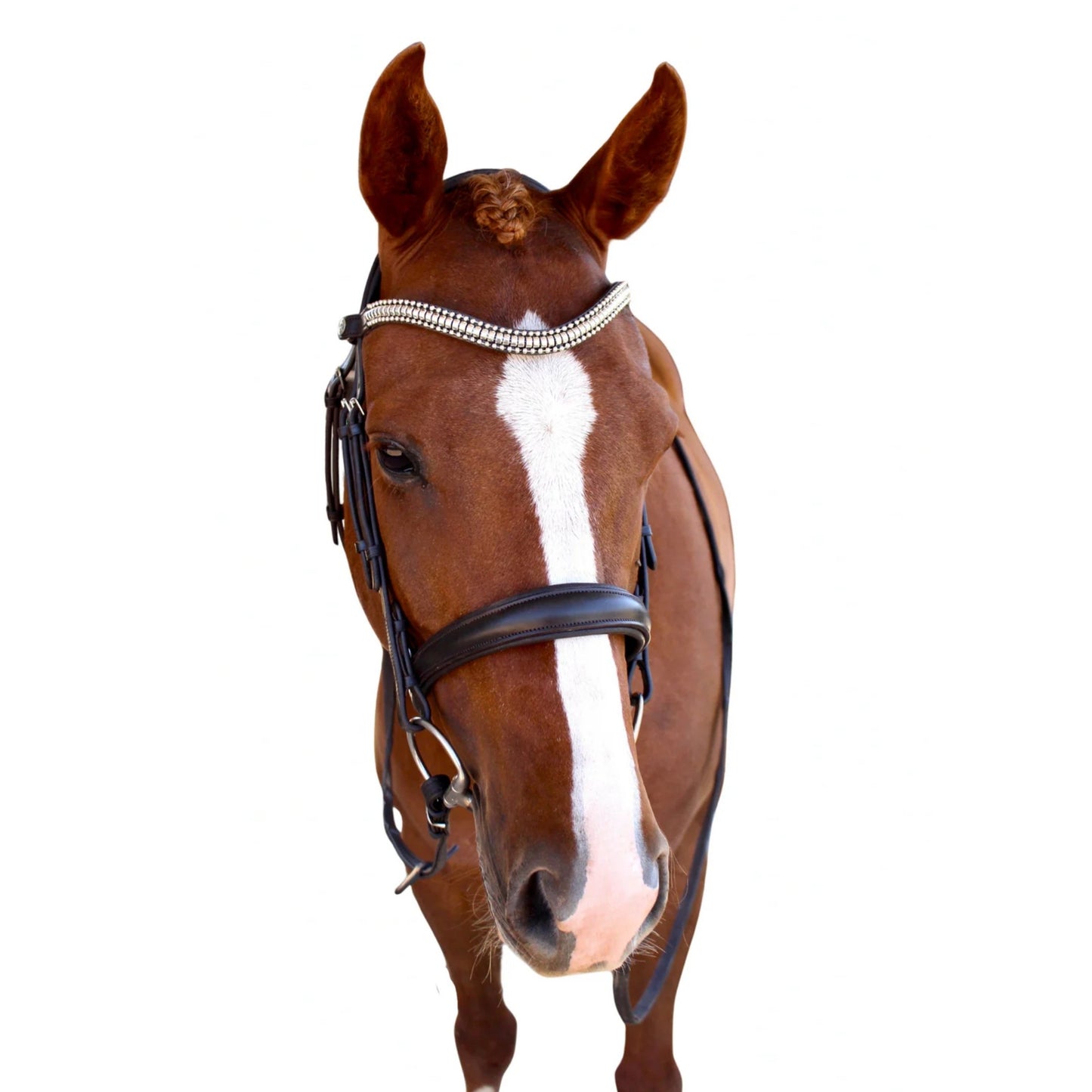 Saddle Co Cosmo Cavesson Bridle w Reins