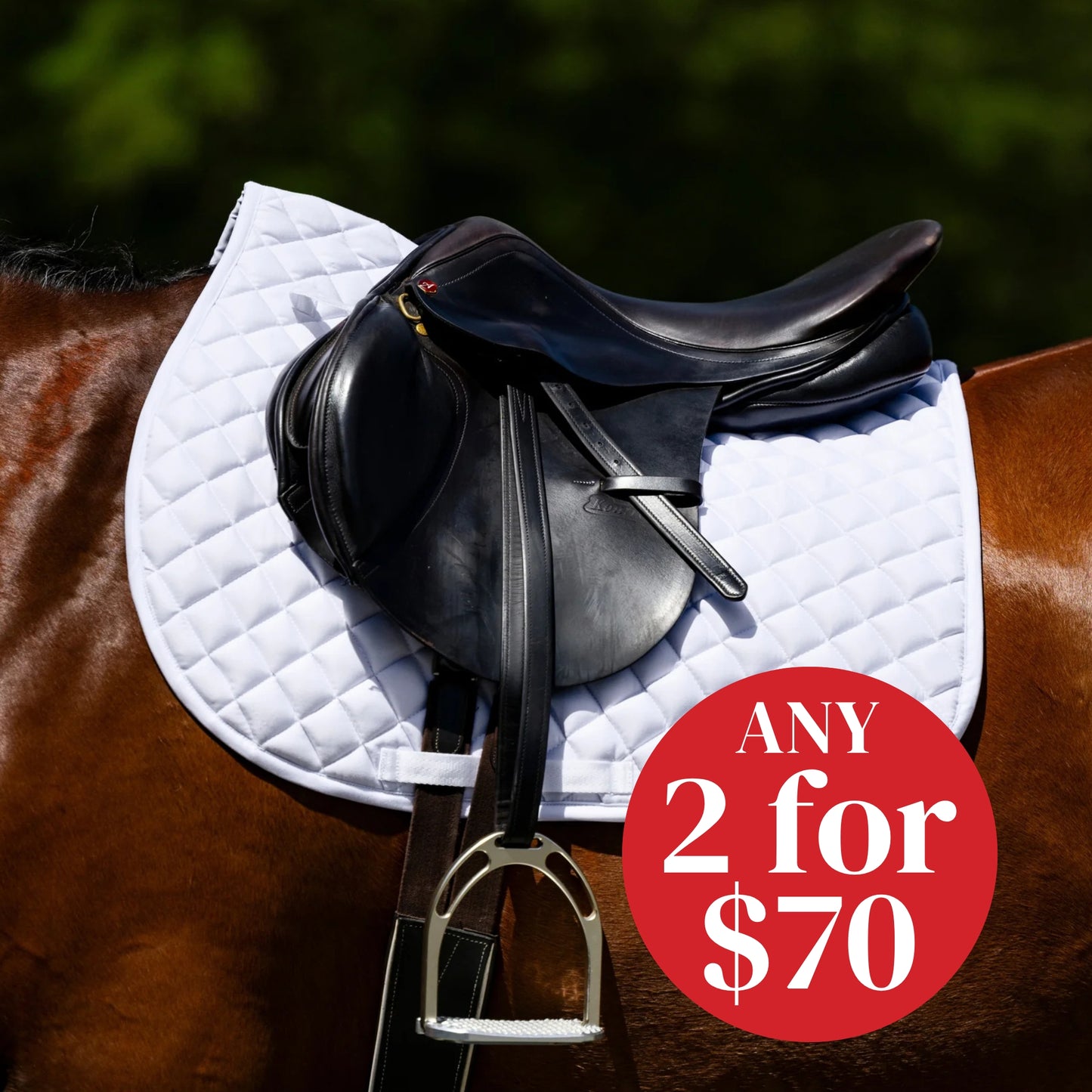 Devon Cotton Saddlepad All Purpose