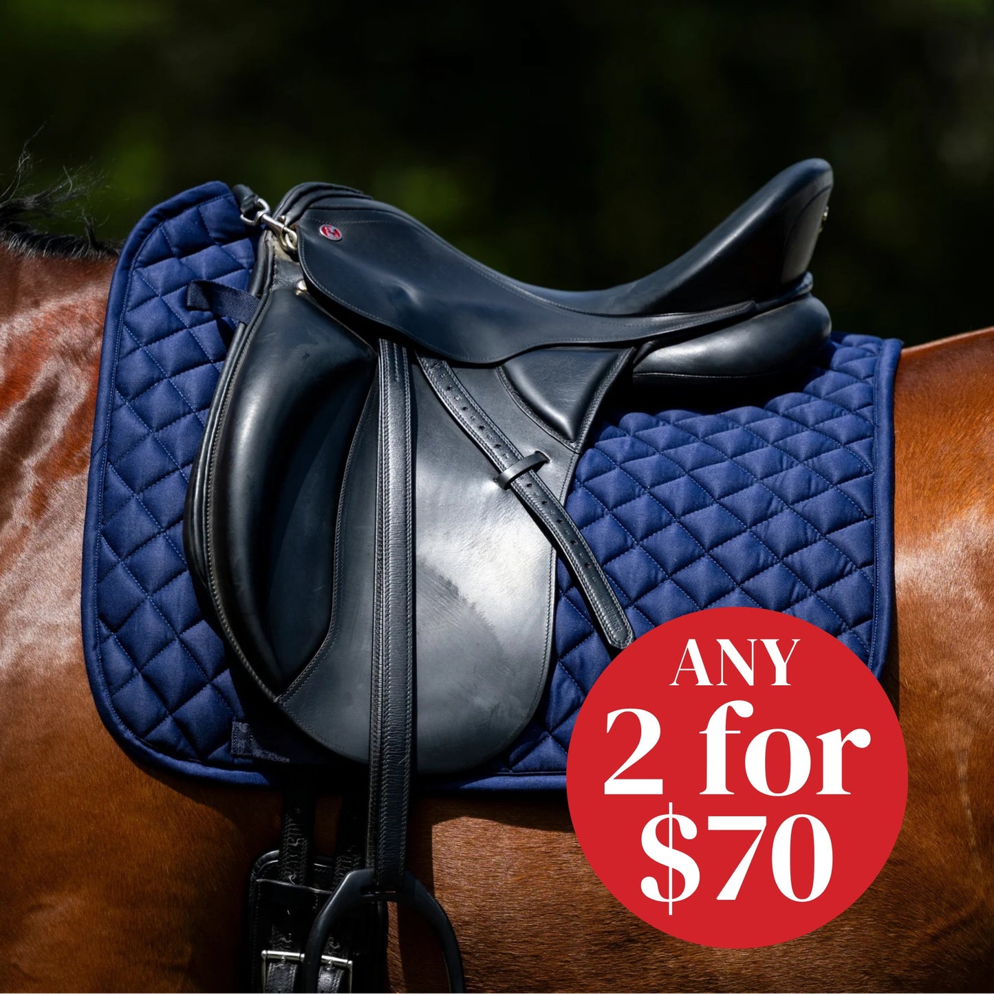 Devon Cotton Saddlepad Dressage
