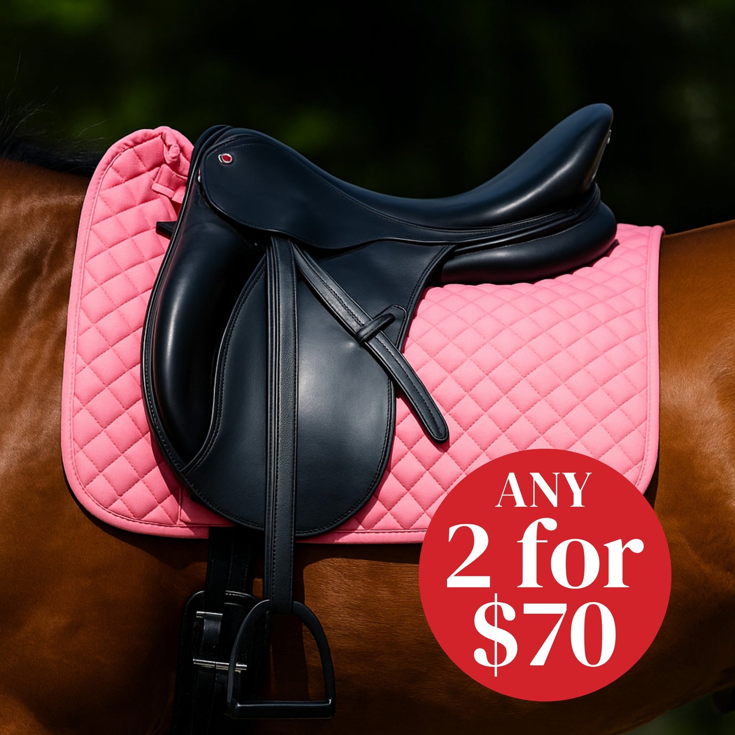 Devon Cotton Saddlepad Dressage