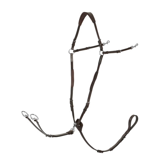 D Ring Attachment Breastplate