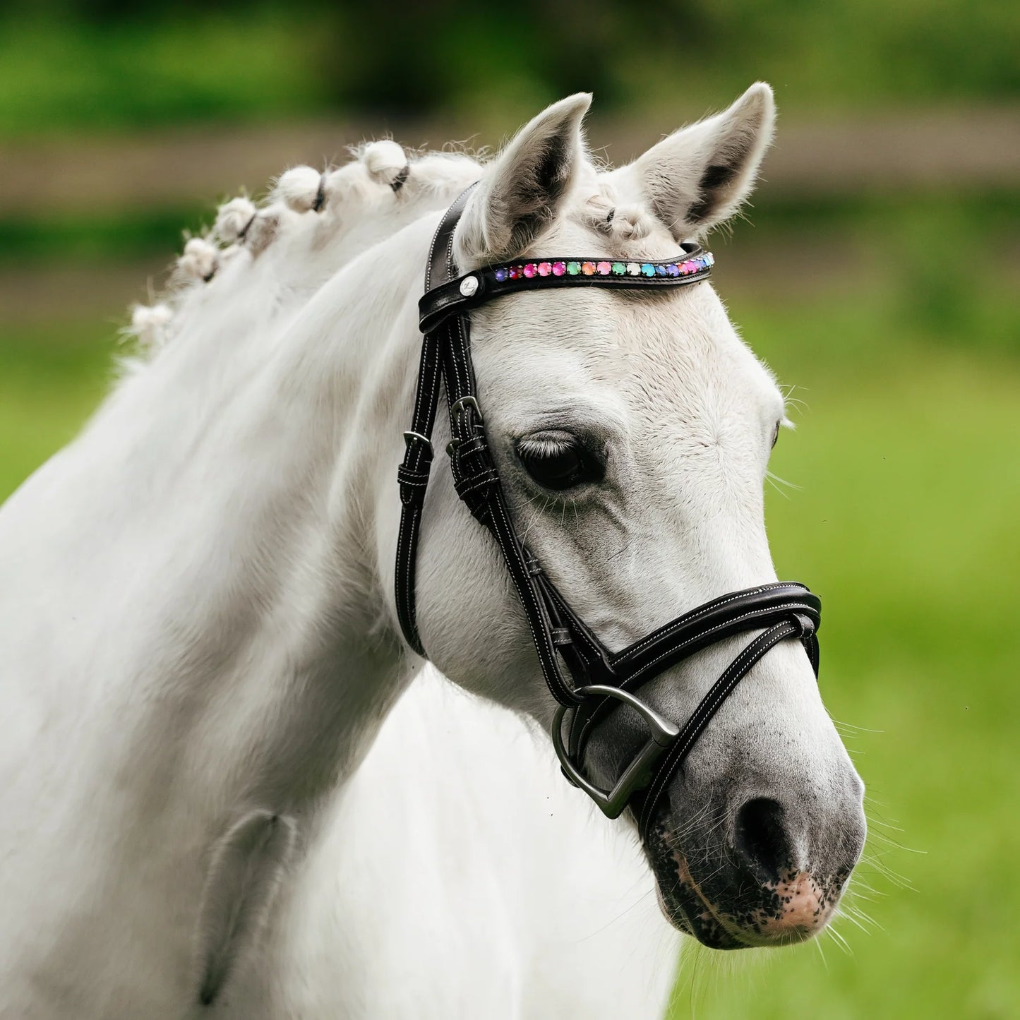 Lumi Pony Rainbow Bridle - EQ Saddlery