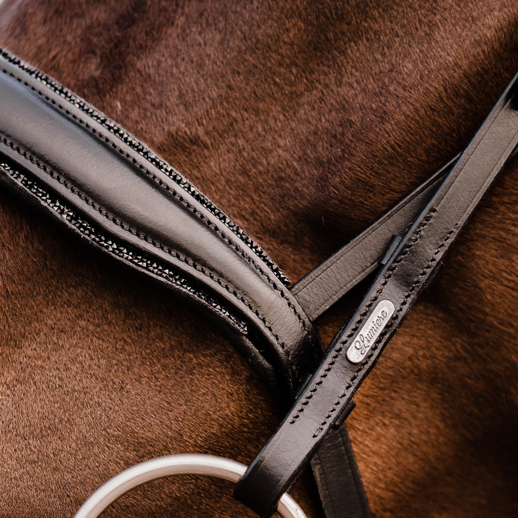 Lumiere Arcadia Hanovarian Leather Bridle - EQ Saddlery