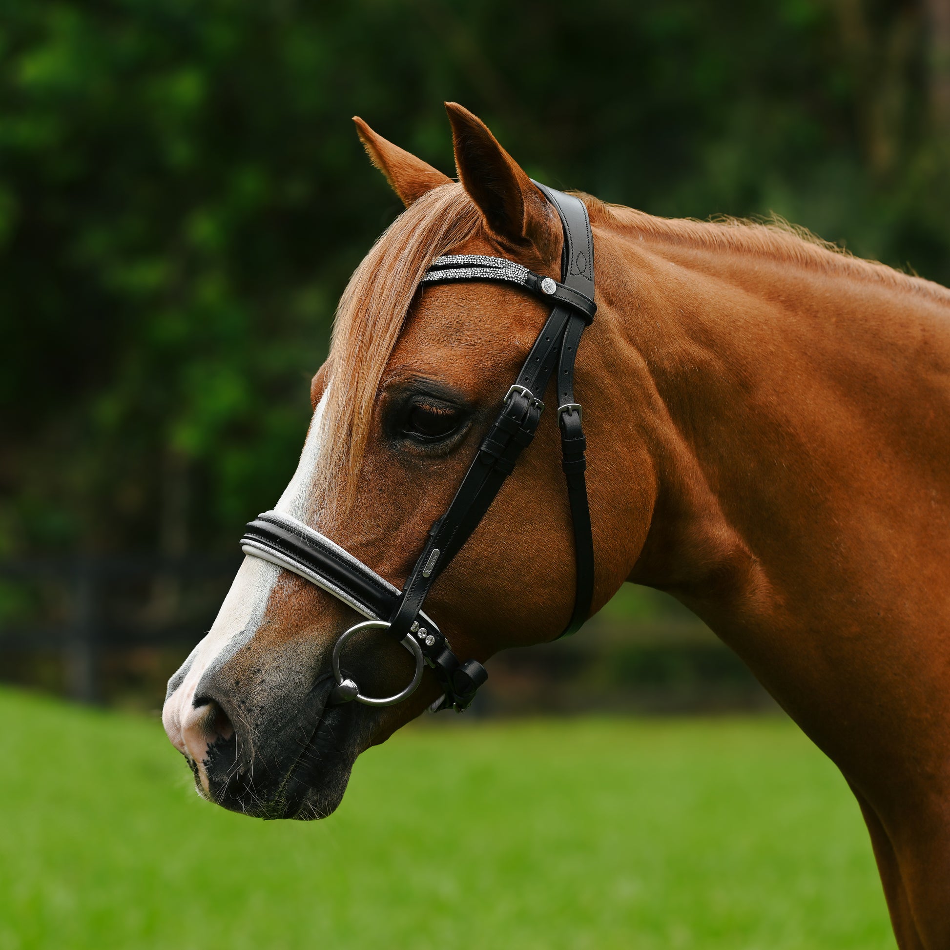 Lumi Pony Princess Bridle - EQ Saddlery