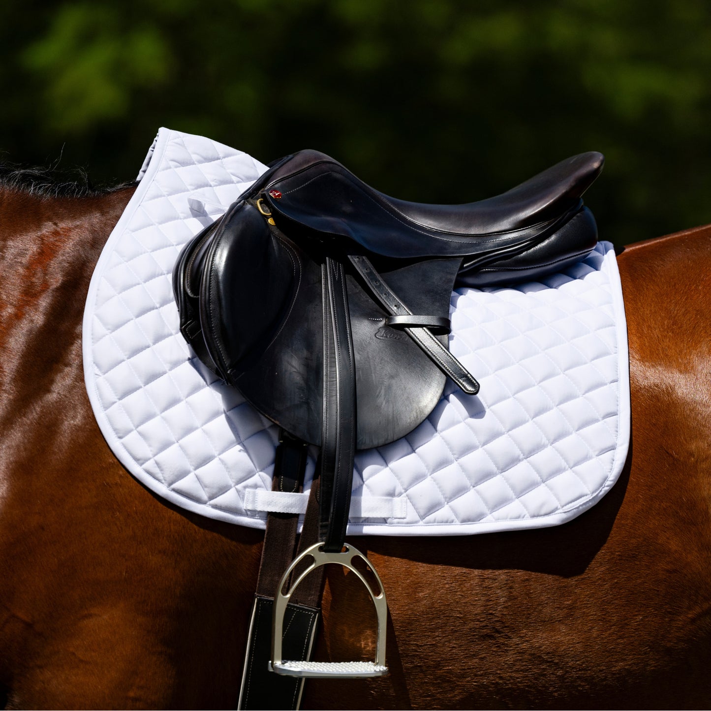 Devon Cotton Saddlepad All Purpose