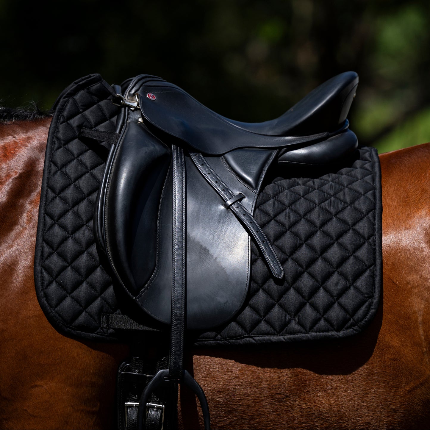 Devon Cotton Saddlepad Dressage
