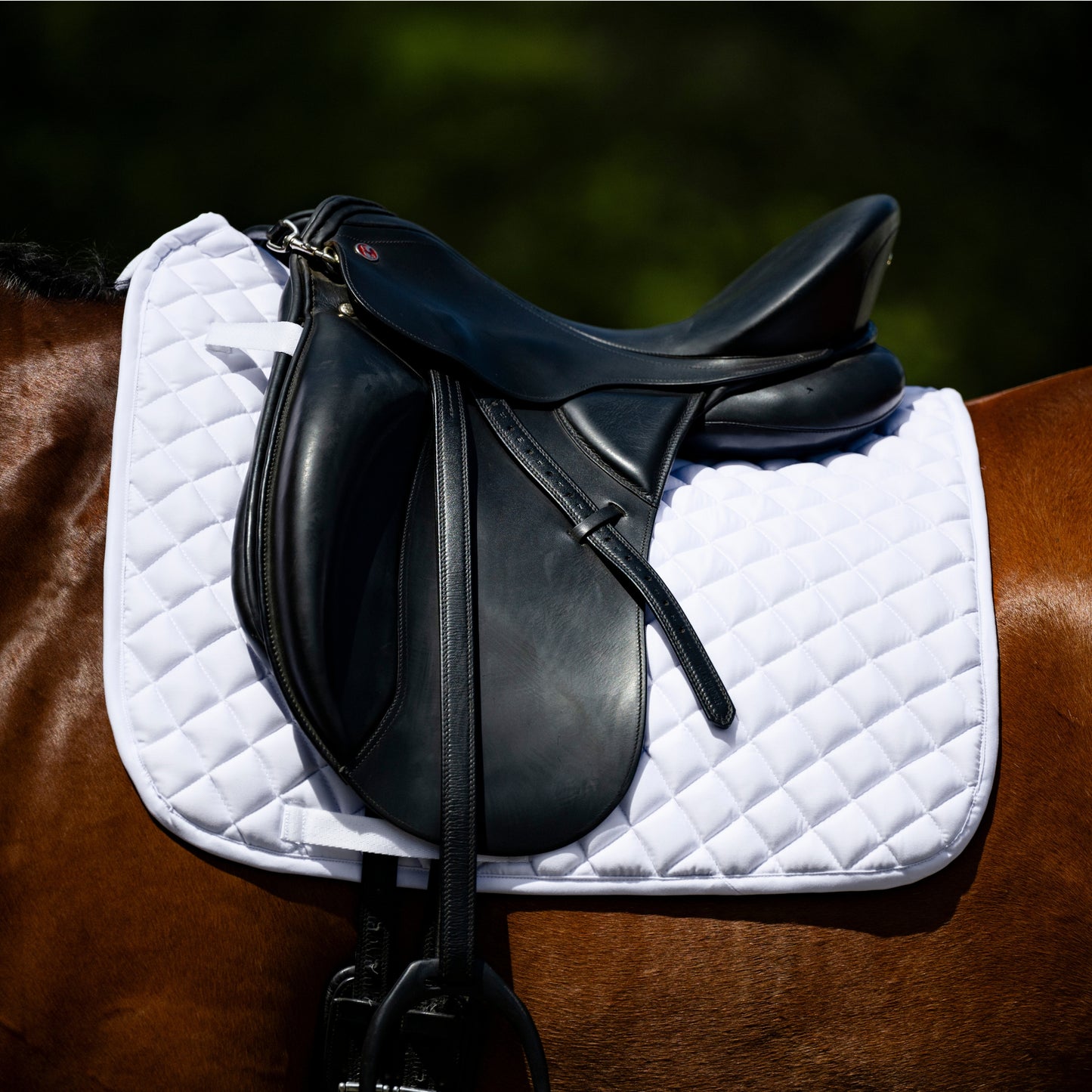Devon Cotton Saddlepad Dressage