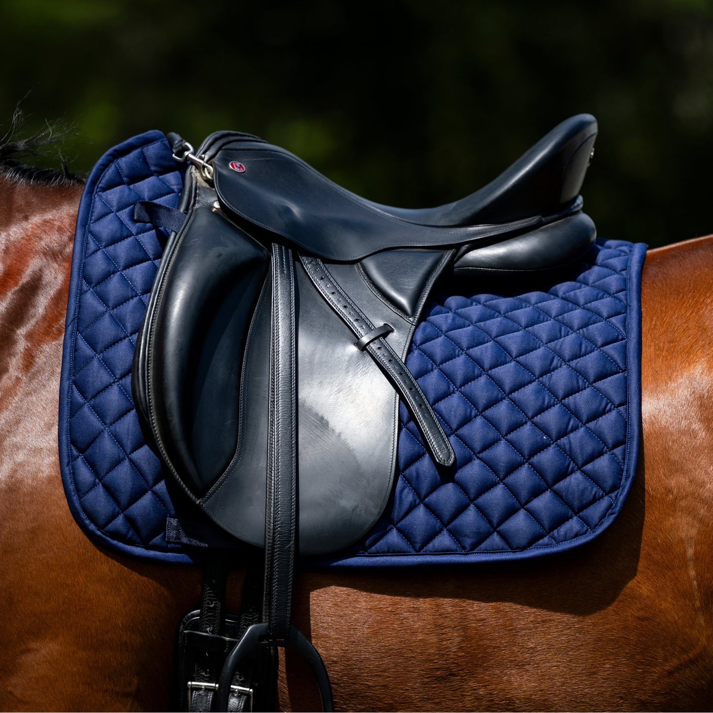 Devon Cotton Saddlepad Dressage