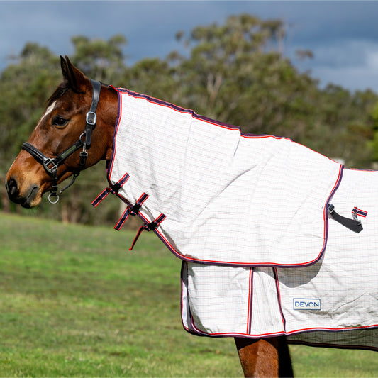 Devon Diamond Light Neck Rug