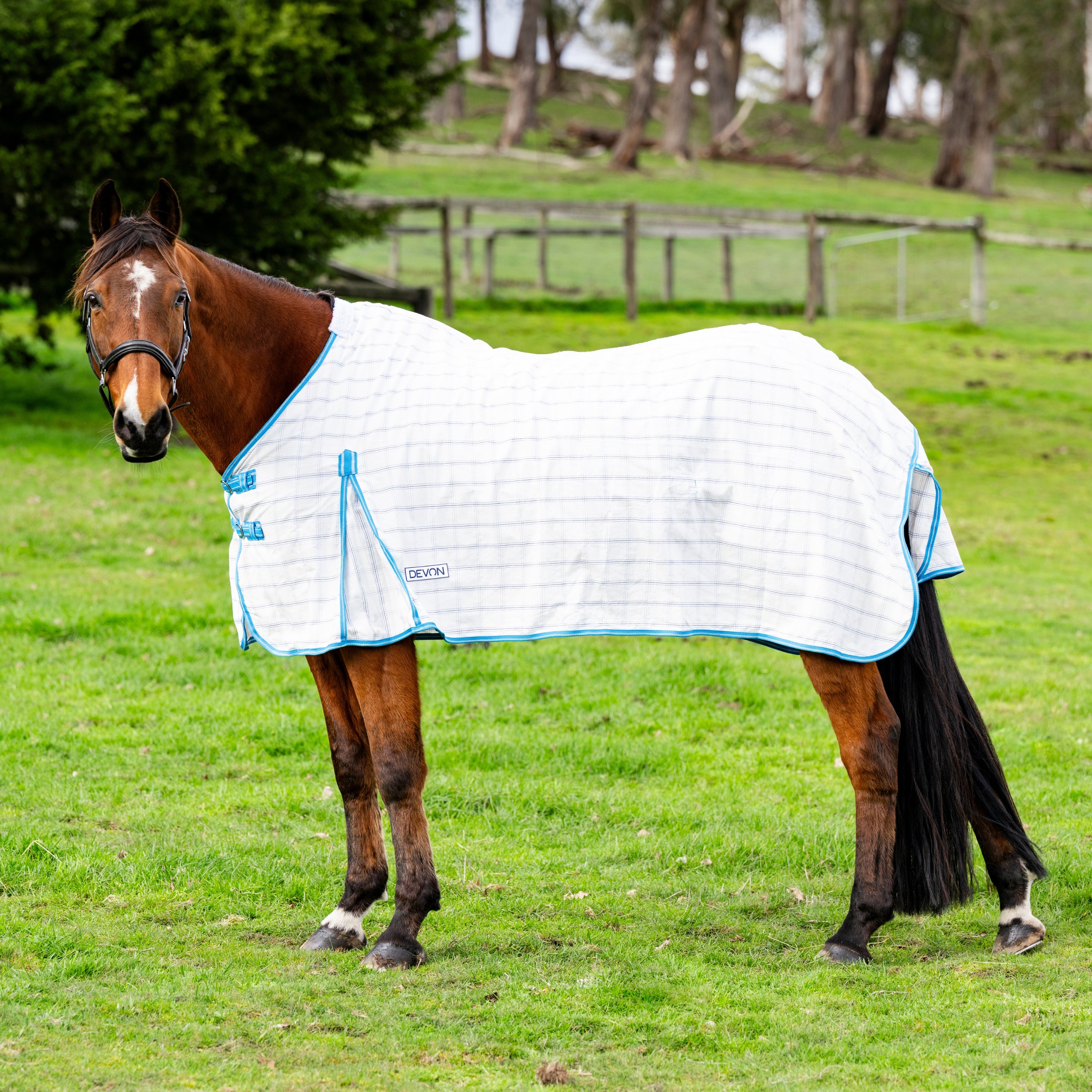 Devon Summer Rug – EQ Saddlery