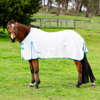 Devon Summer Rug