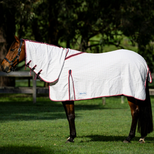 Devon Diamond Light Combo - EQ Saddlery