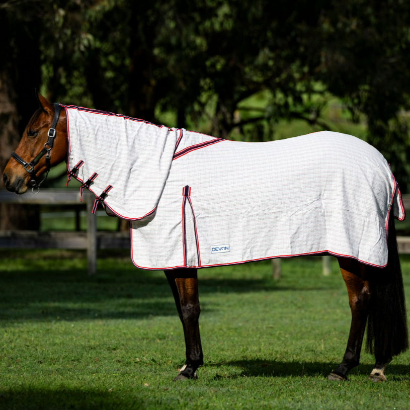 Devon Diamond Light Combo - EQ Saddlery