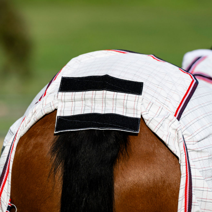 Devon Diamond Light Rug - EQ Saddlery