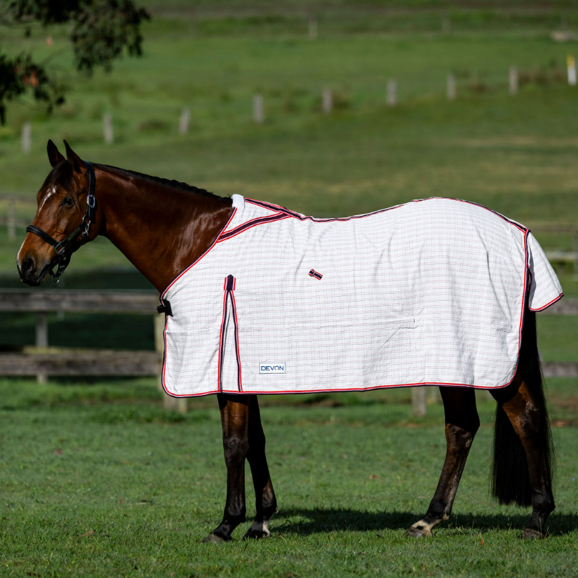 Devon Diamond Light Rug - EQ Saddlery