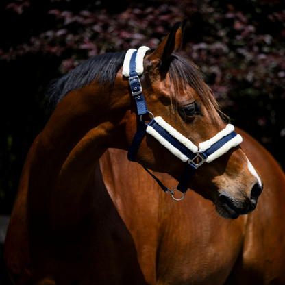 Devon Fleece Lined Halter - EQ Saddlery