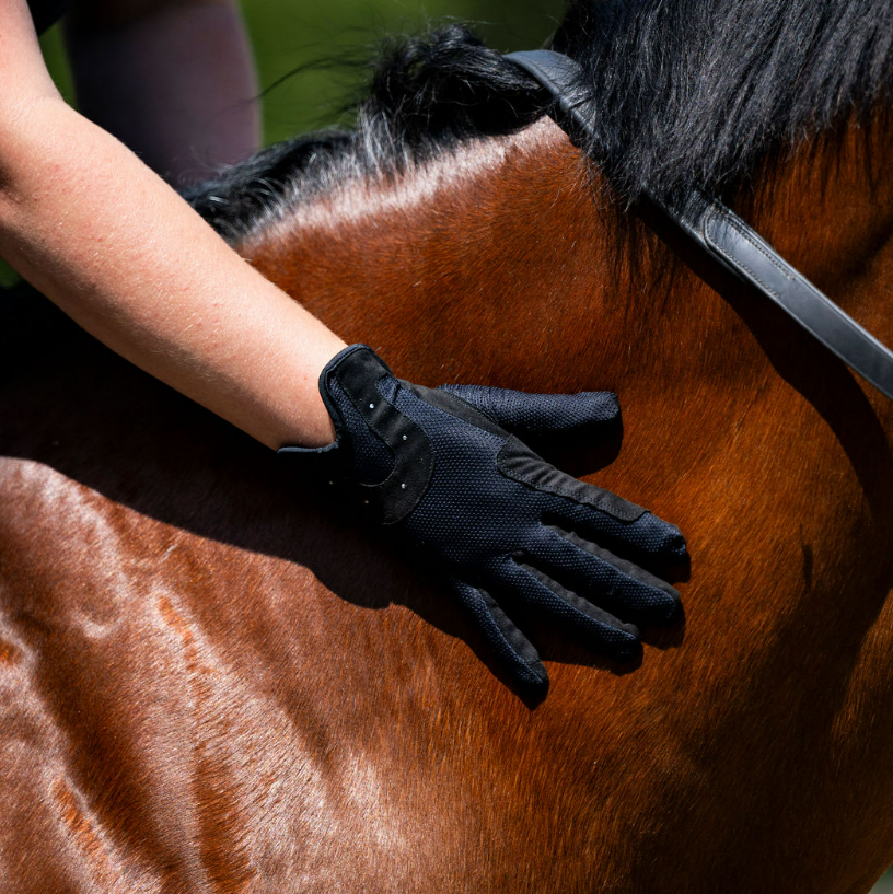 Devon Pro Air Glove - EQ Saddlery