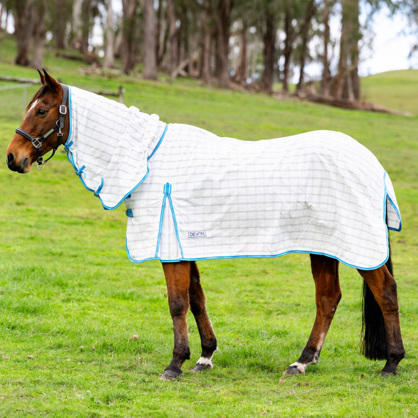 Devon – EQ Saddlery