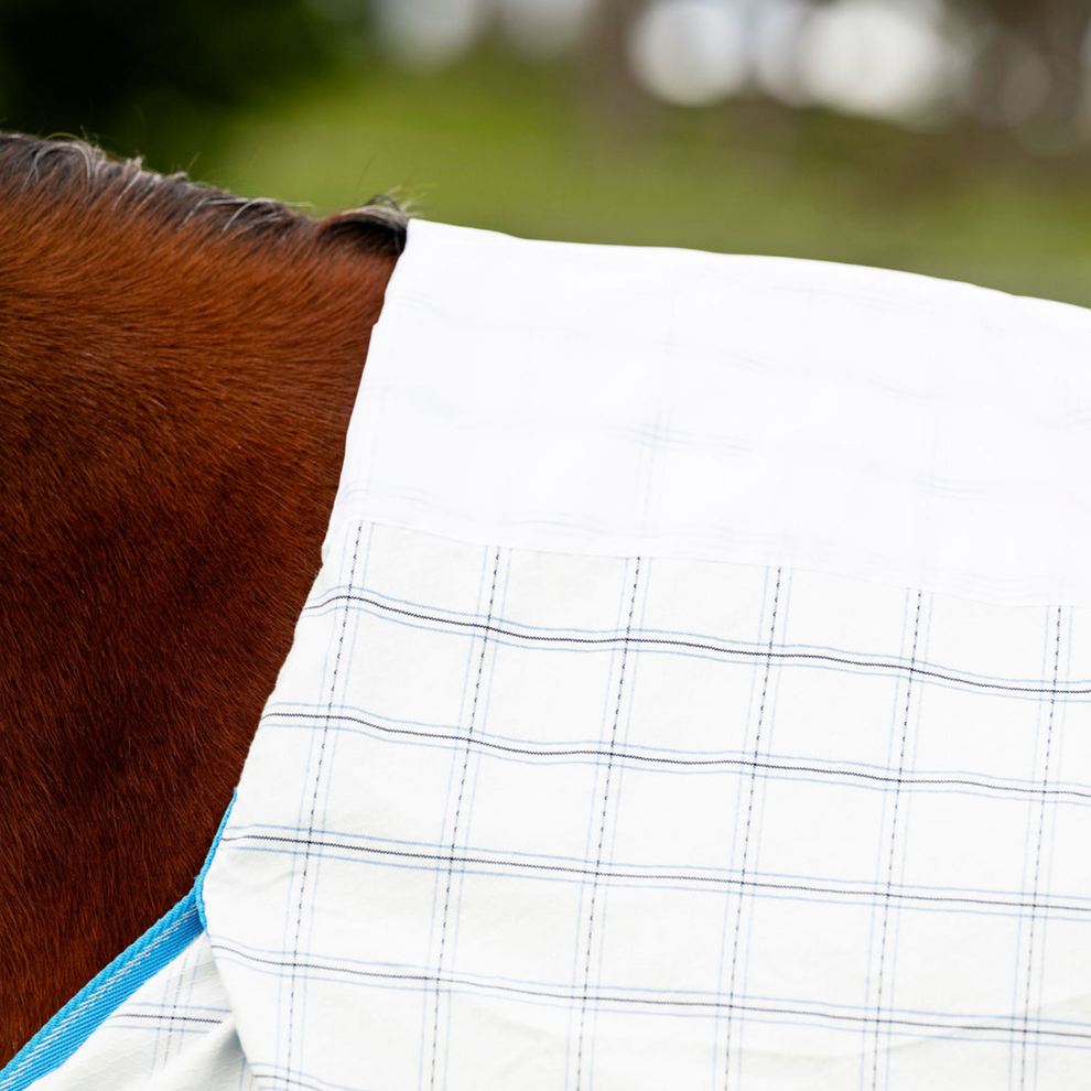 Devon Summer Combo – EQ Saddlery