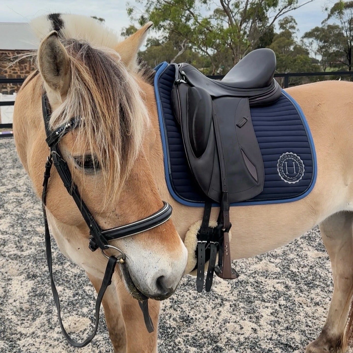 Harcour Karembar Dressage Saddle pad - EQ Saddlery