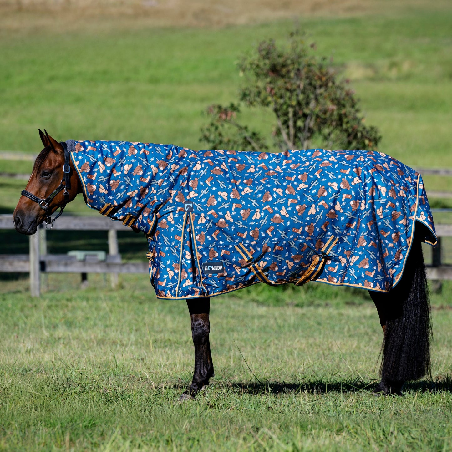 EQ Armour Ascent 600D 180g Combo - EQ Saddlery