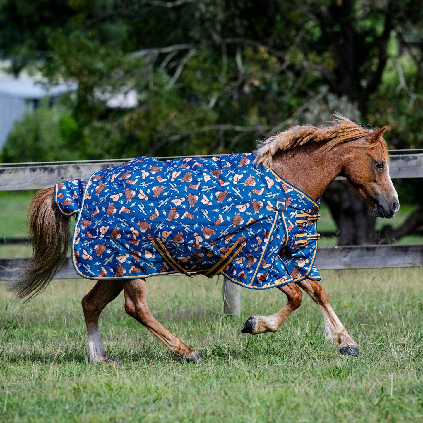 EQ Armour Ascent 600D 180g Rug Pony - EQ Saddlery