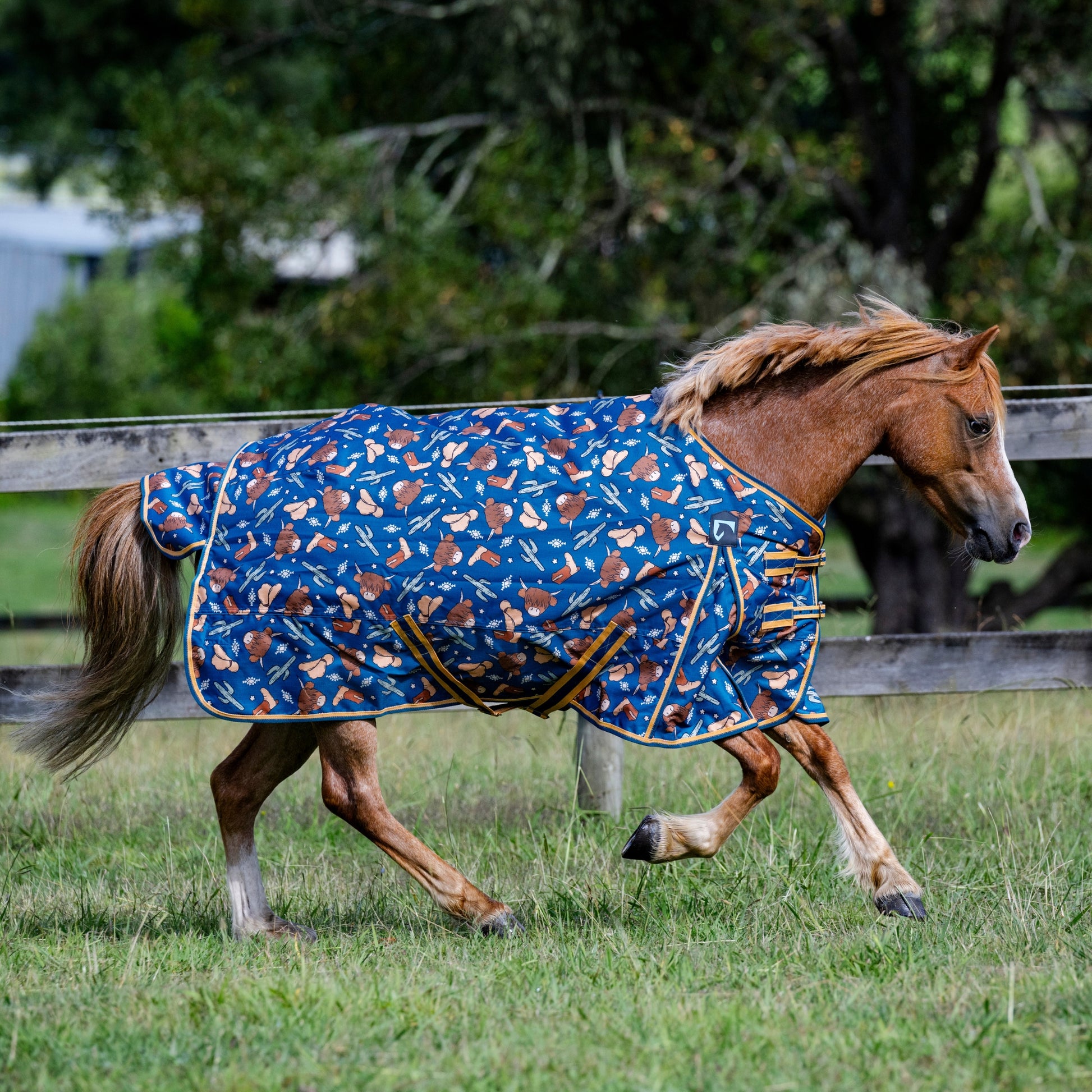 EQ Armour Ascent 600D 180g Rug Pony - EQ Saddlery