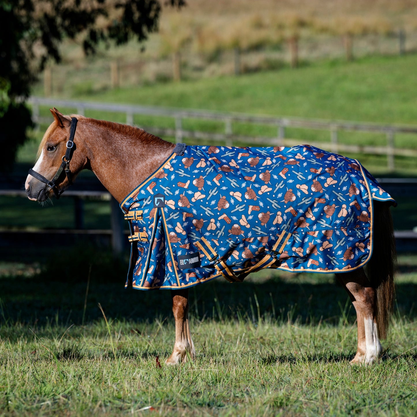 EQ Armour Ascent 600D 180g Rug Pony - EQ Saddlery