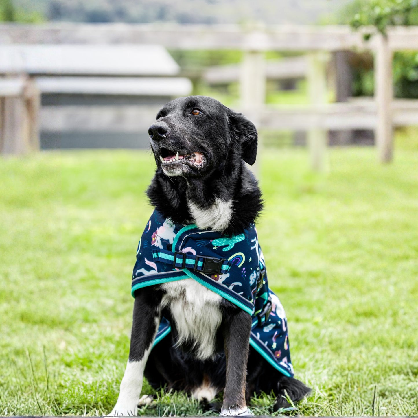 EQ Armour 1200D Dog Rug