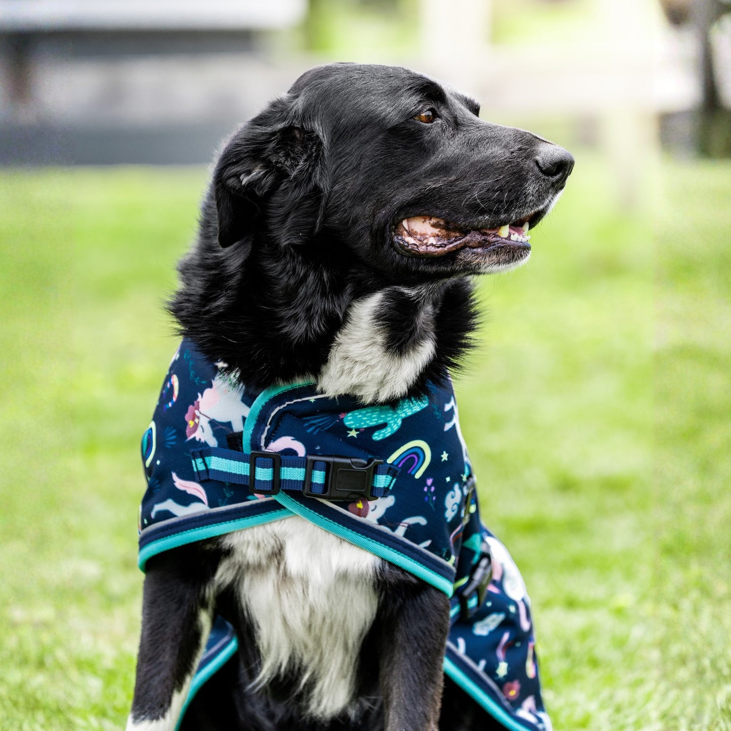 EQ Armour 1200D Dog Rug