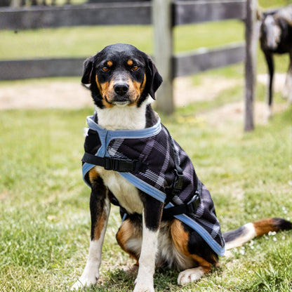 EQ Armour 1200D Dog Rug