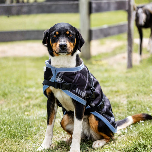 EQ Armour 1200D Dog Rug