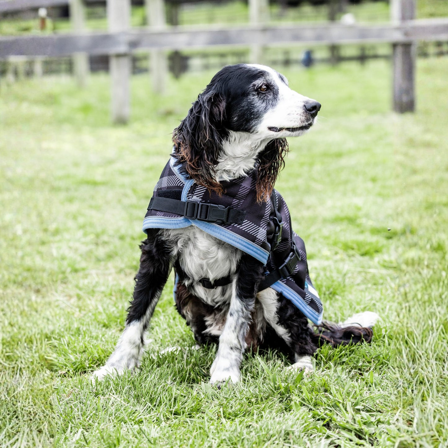 EQ Armour 1200D Dog Rug