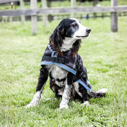 EQ Armour 1200D Dog Rug